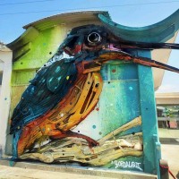 Beautiful Bird Street Art Painting